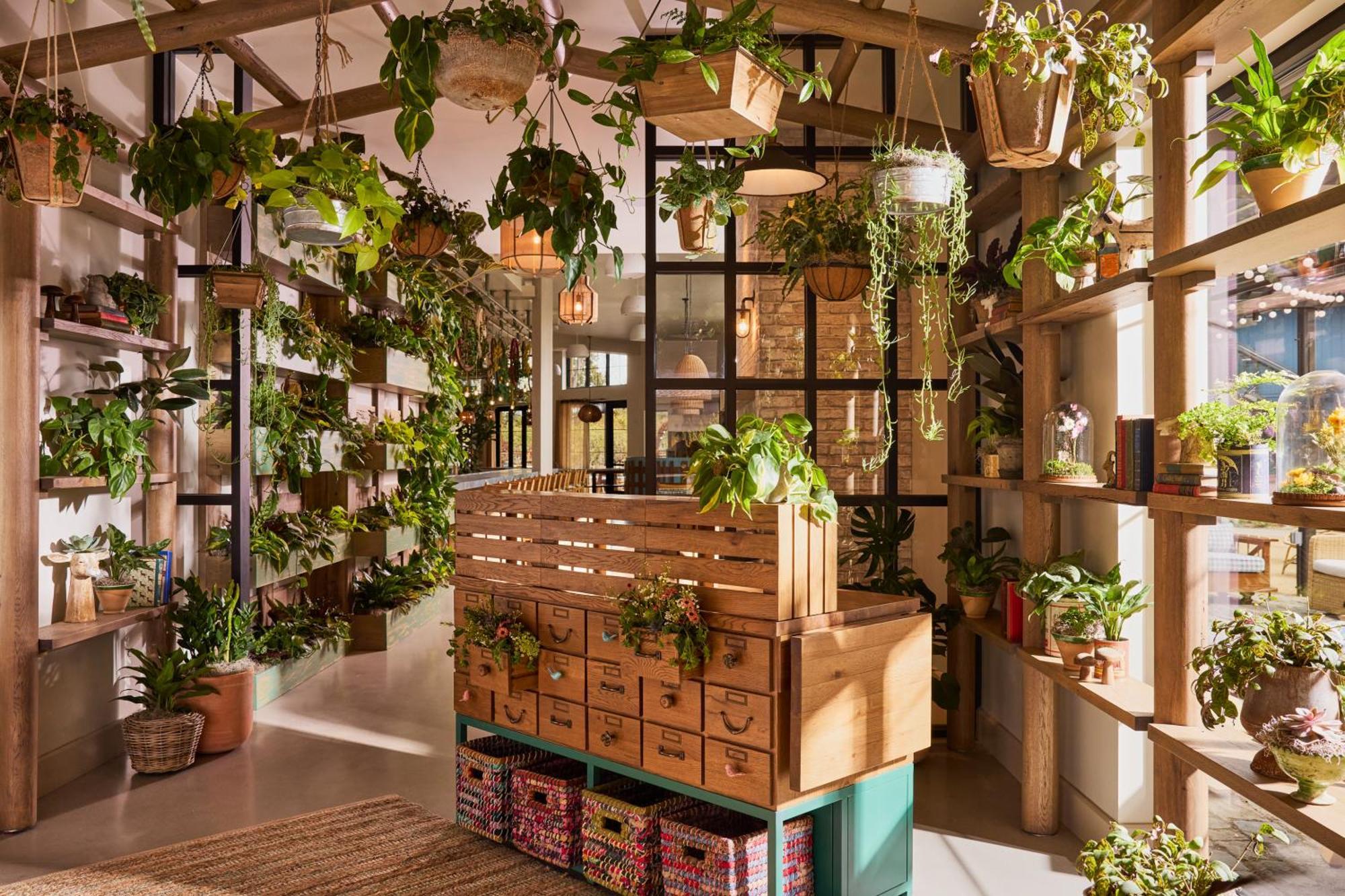 Treehouse Hotel Silicon Valley Саннивейл Экстерьер фото